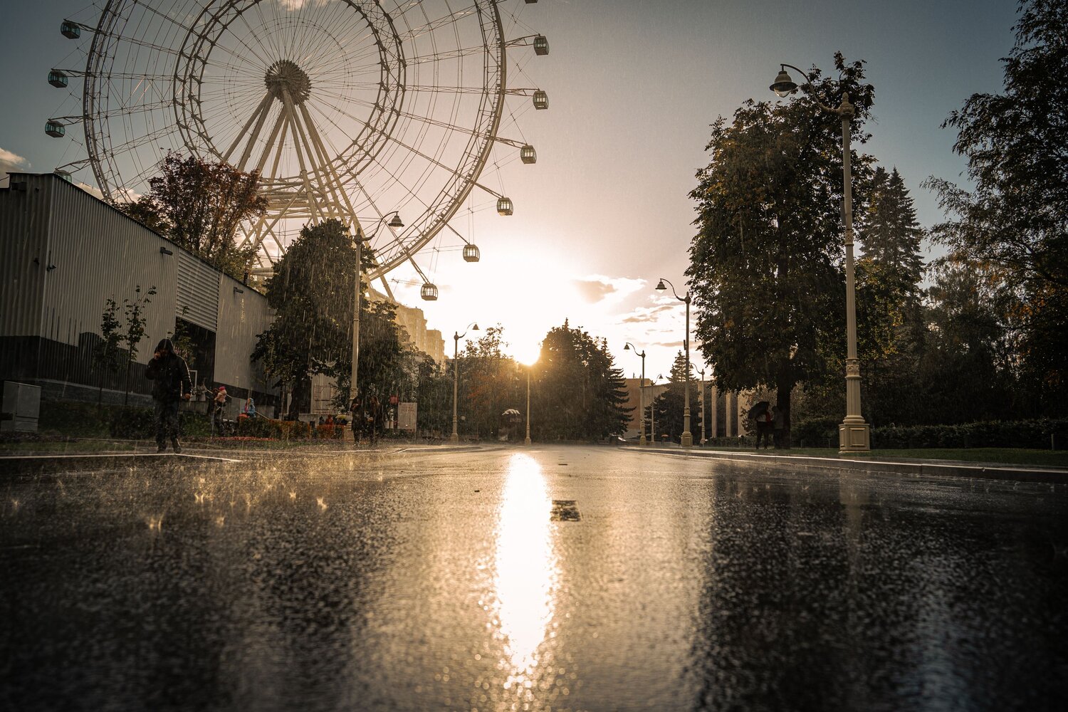 Photo #14085428