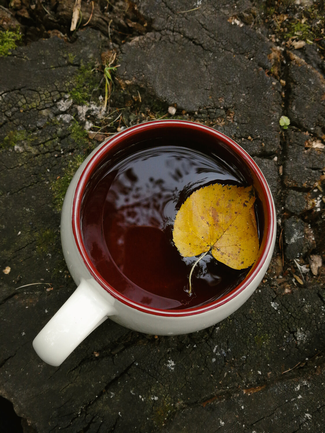 Photo #14085437