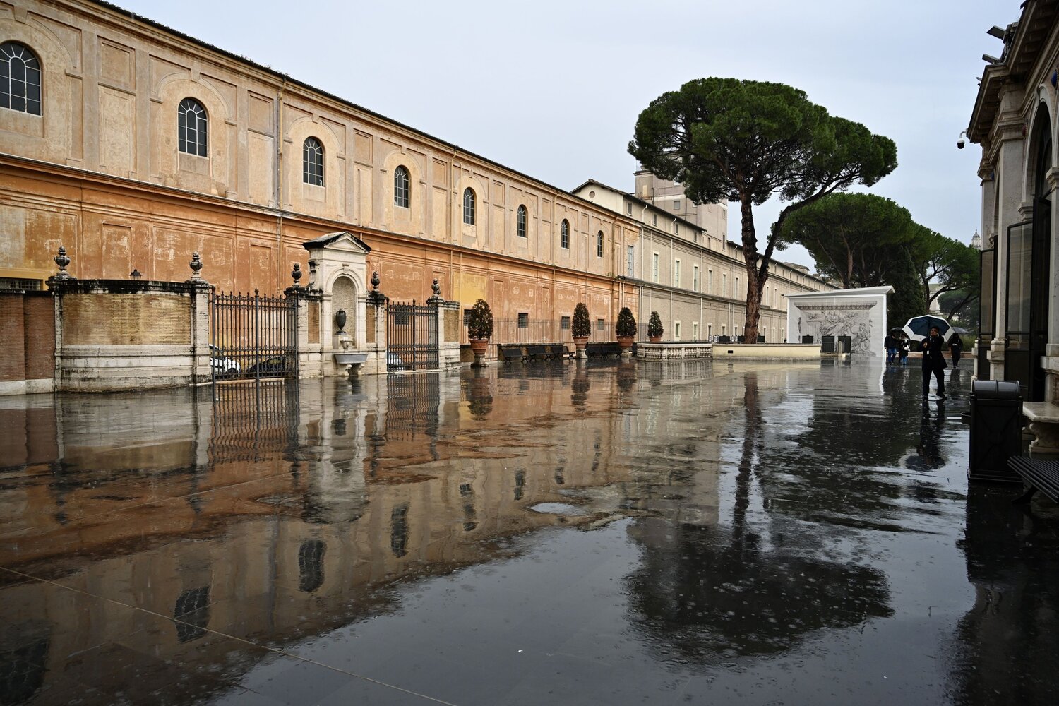 Reflected in the rain