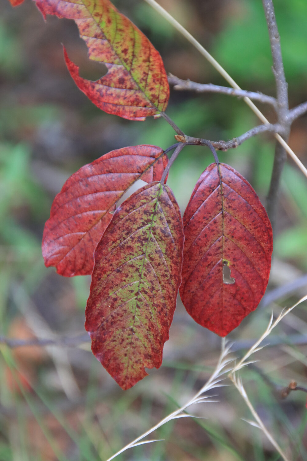 Photo #14085476