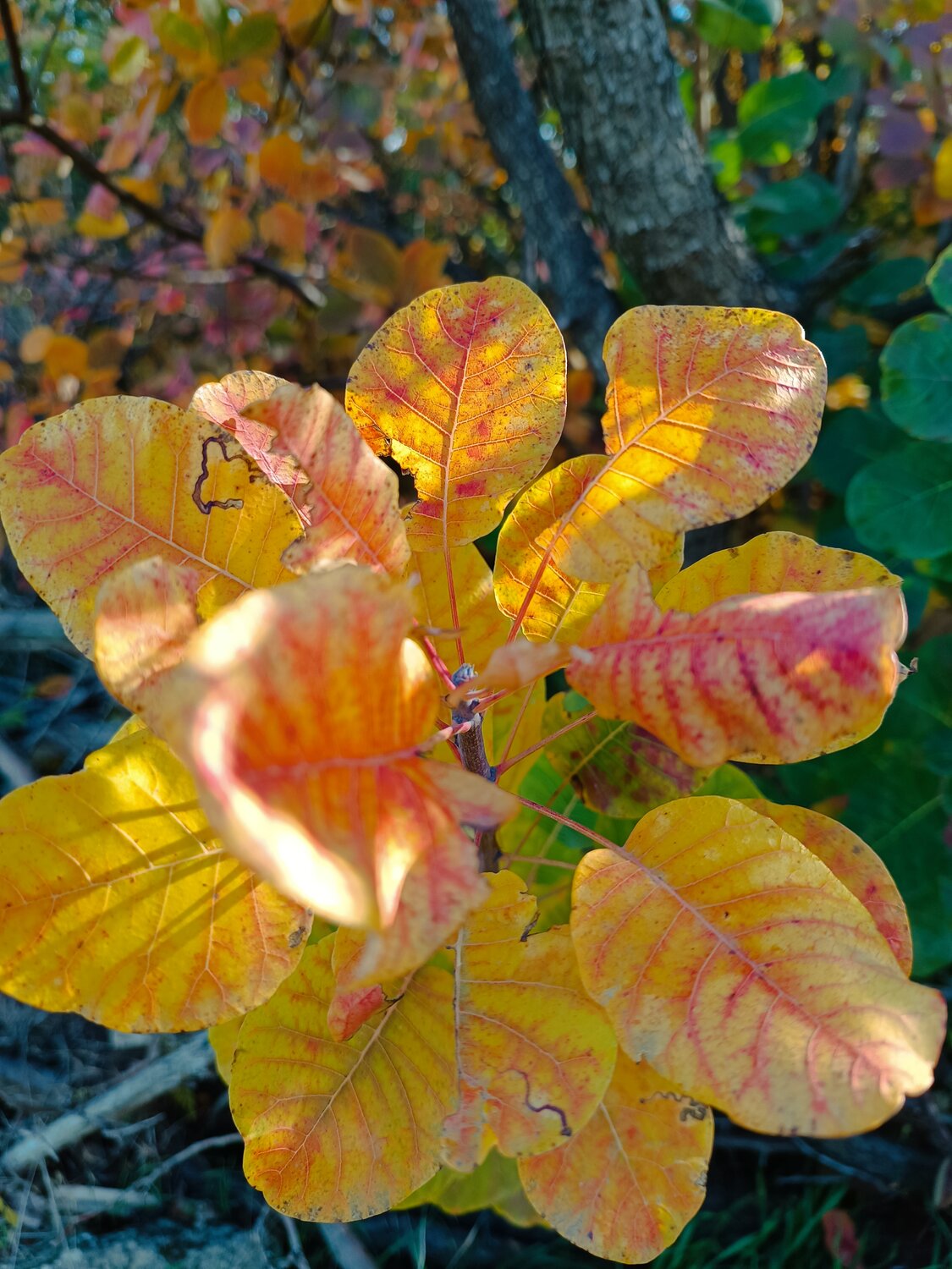 Photo #14085543