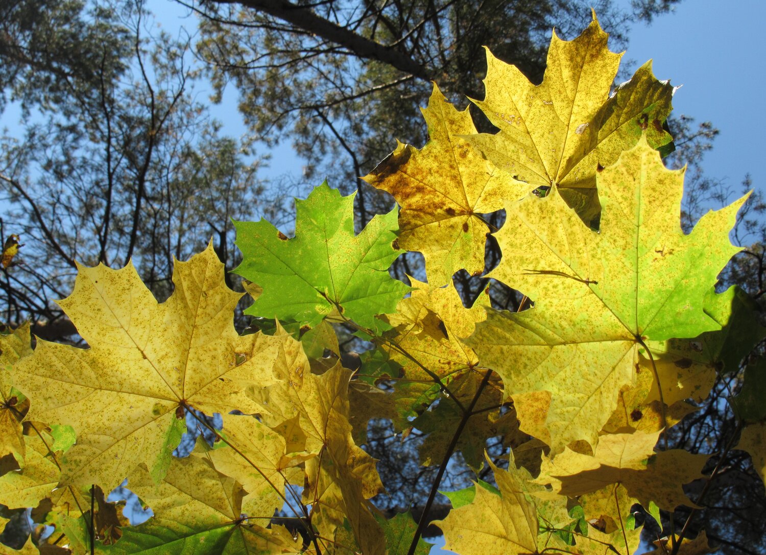 Photo #14085557