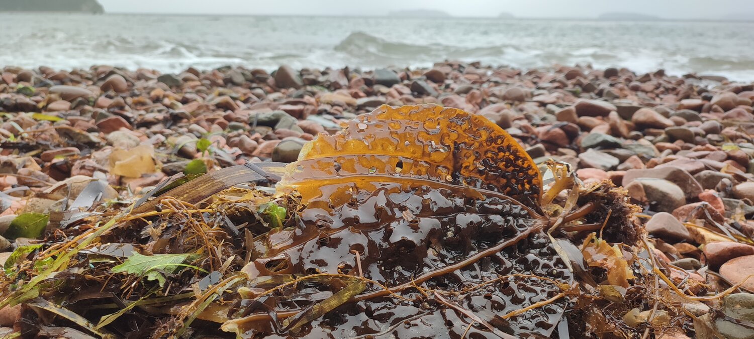 Photo #14085590