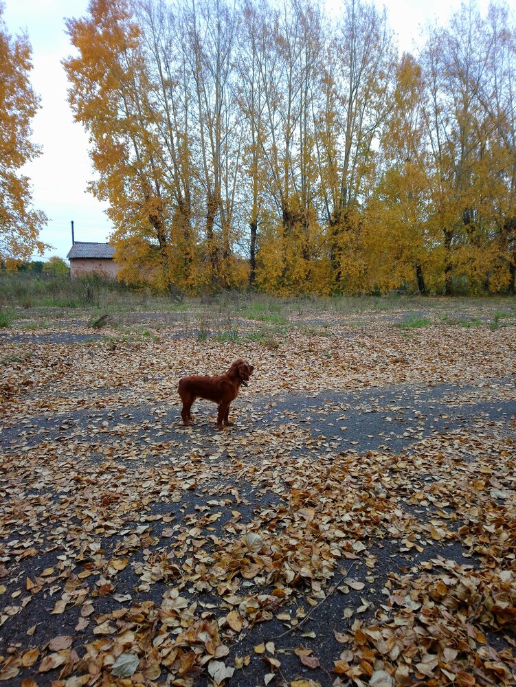 Photo #14085591