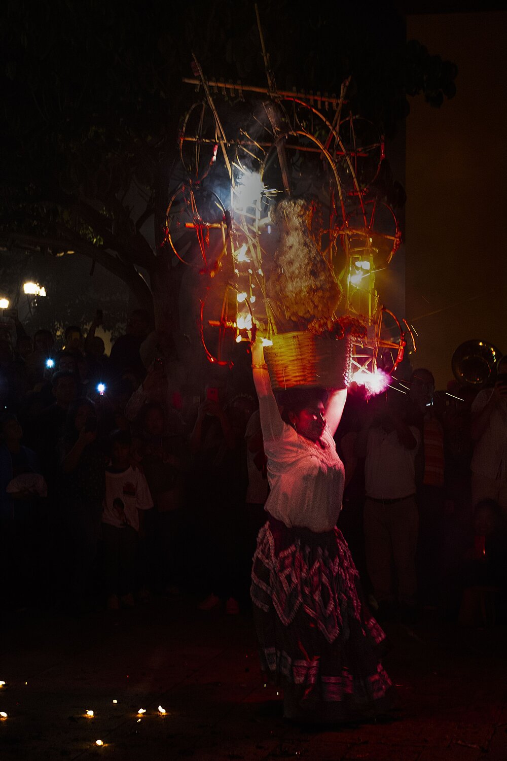 Photo #14085607