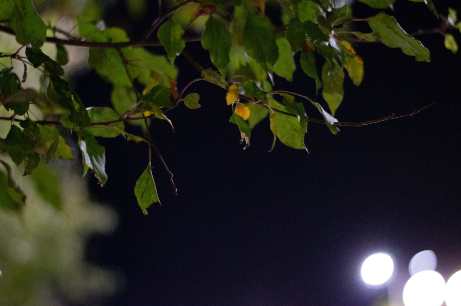 Photo #14085609