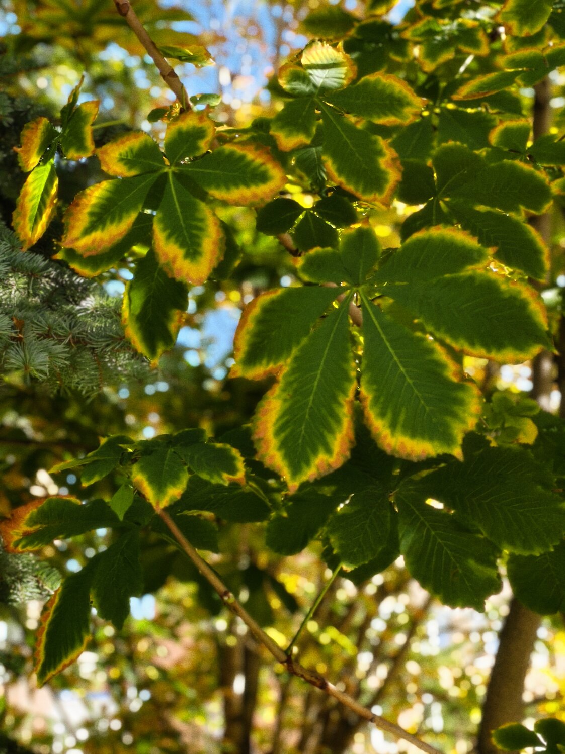 Photo #14085694
