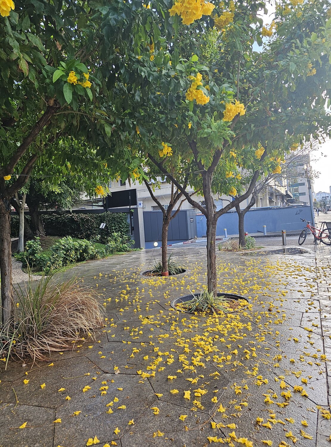 Photo #14085711
