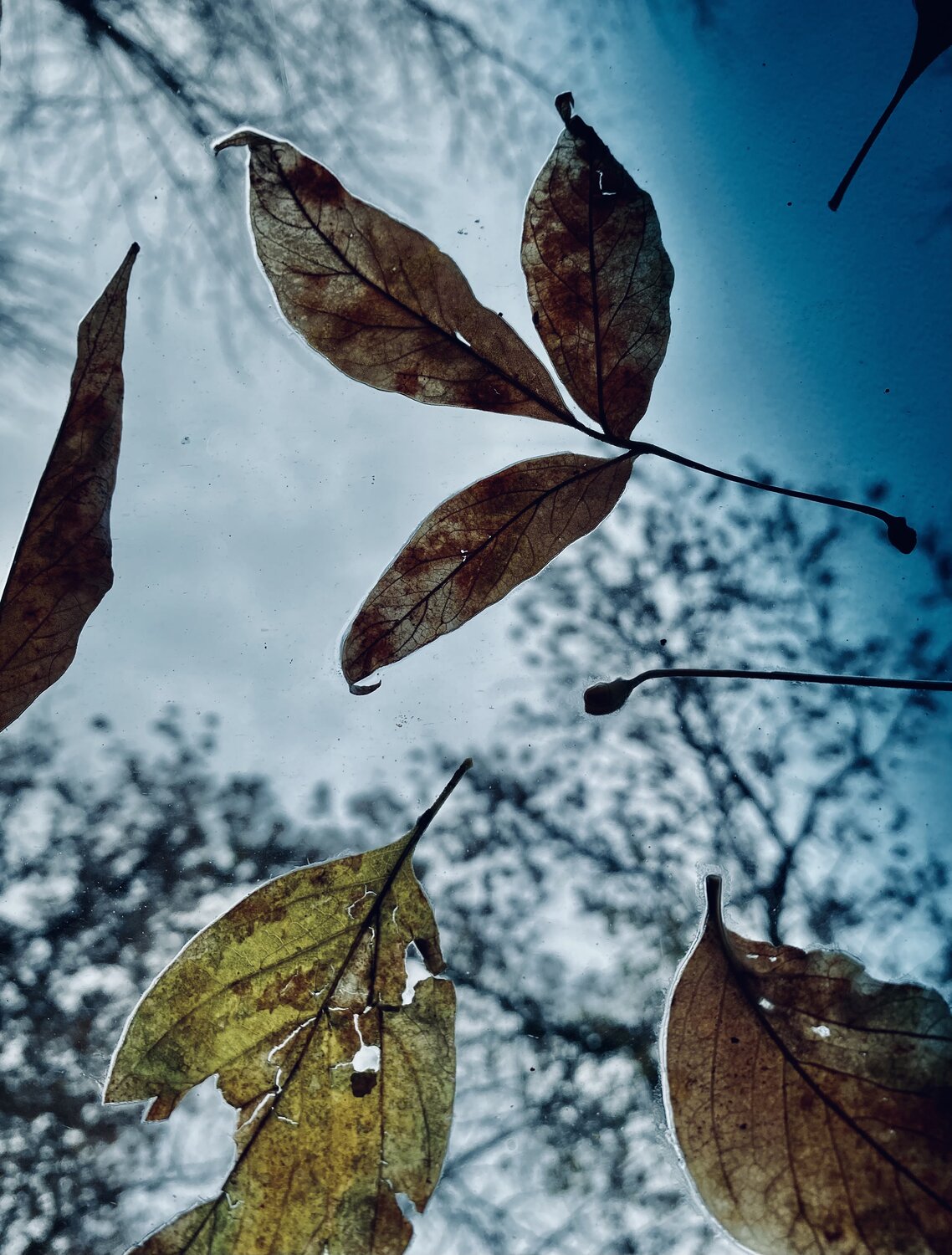 Photo #14085729