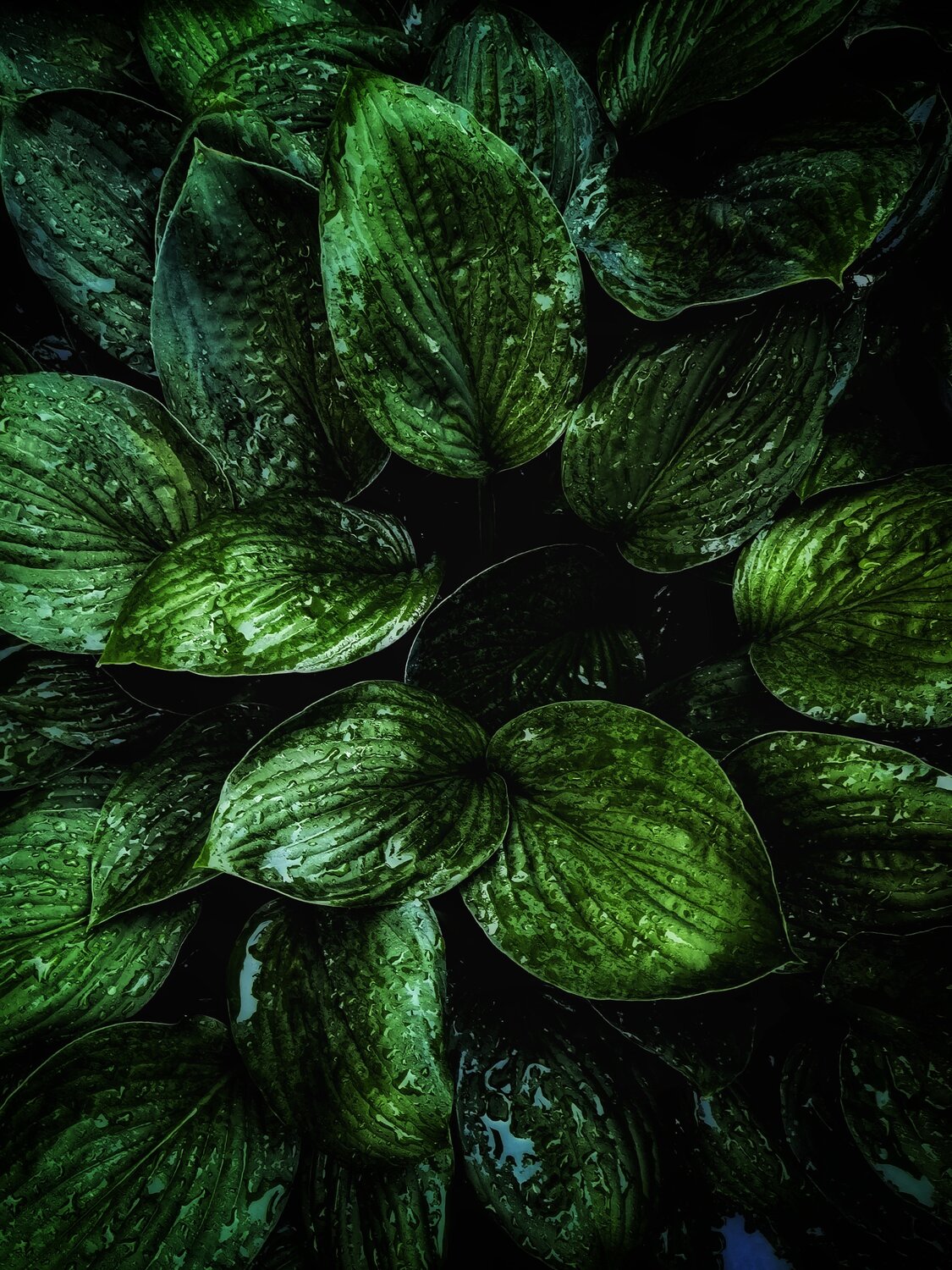 Photo #14085785