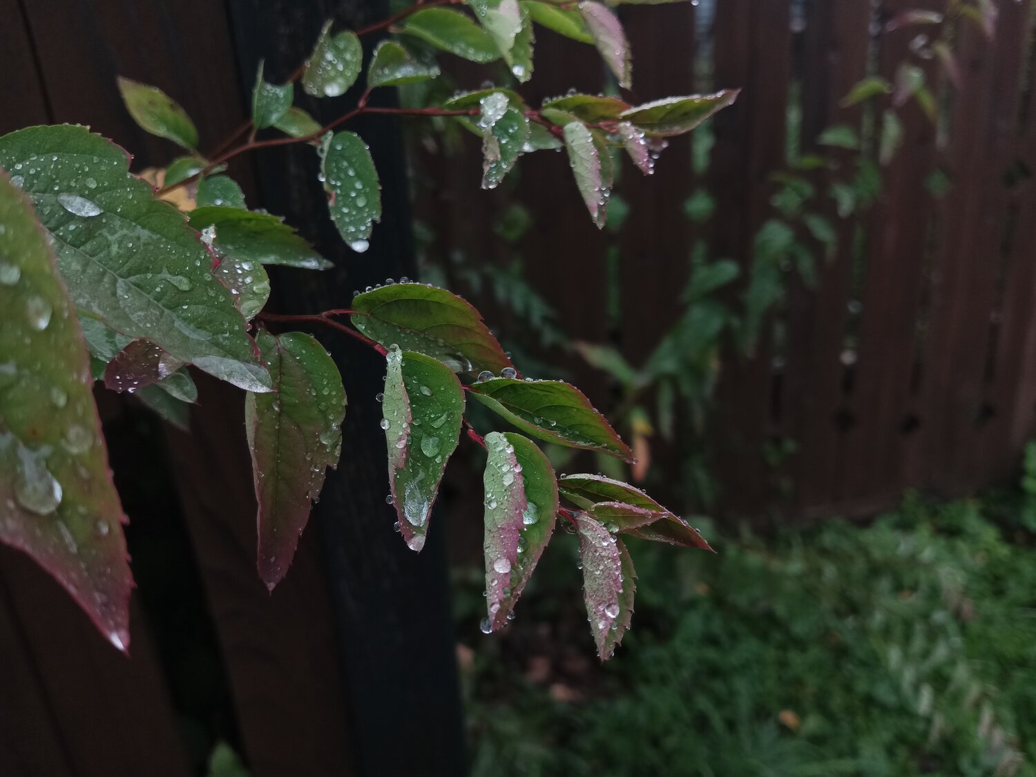 Photo #14085813