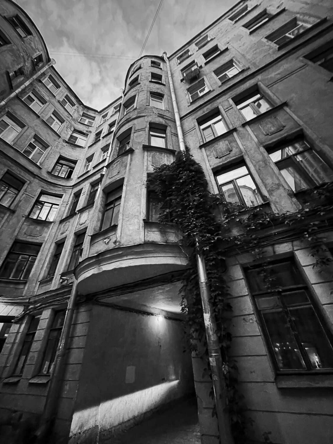 Photo #14085826