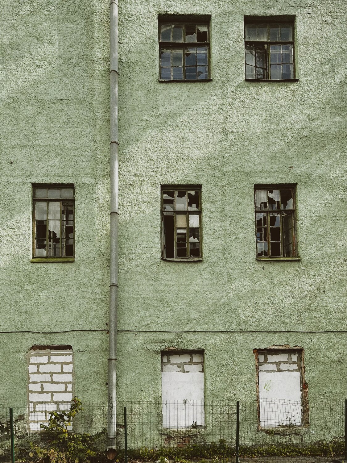 Photo #14085851