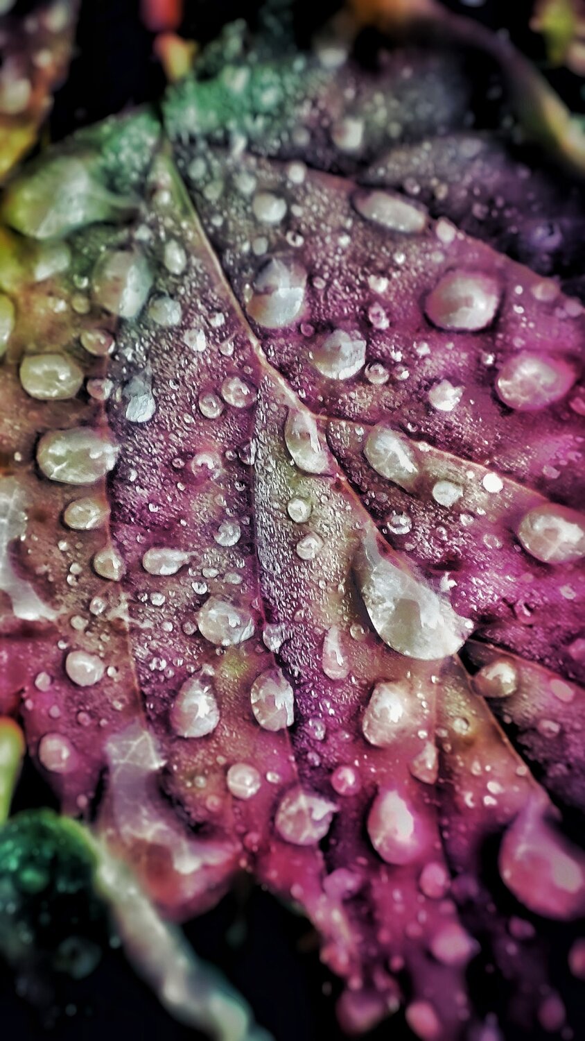 Photo #14085895