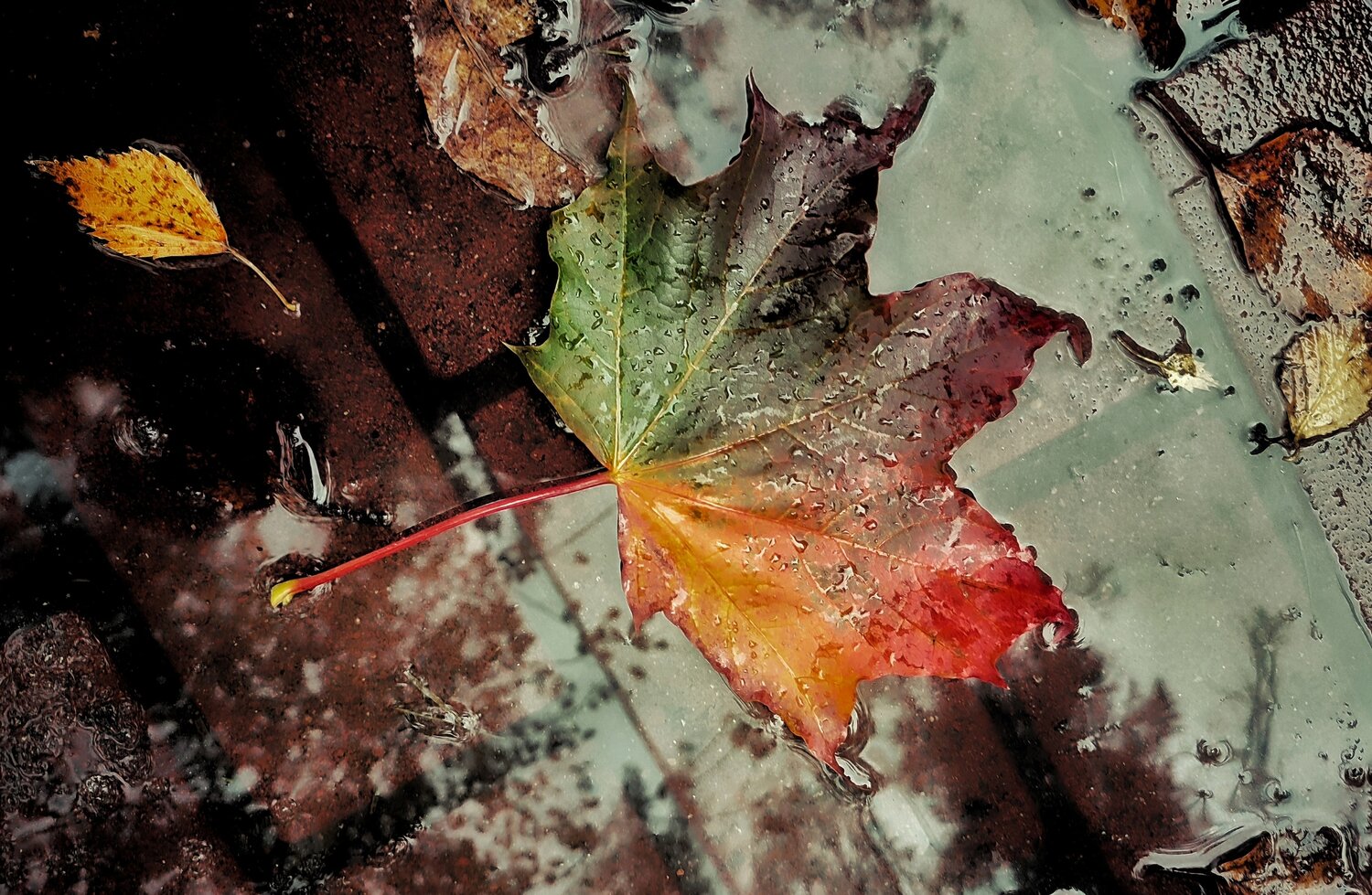 Photo #14085903