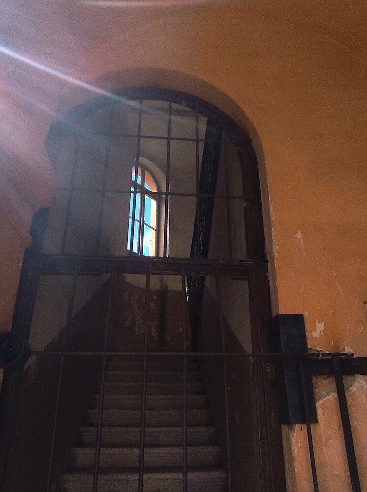Photo #14085952