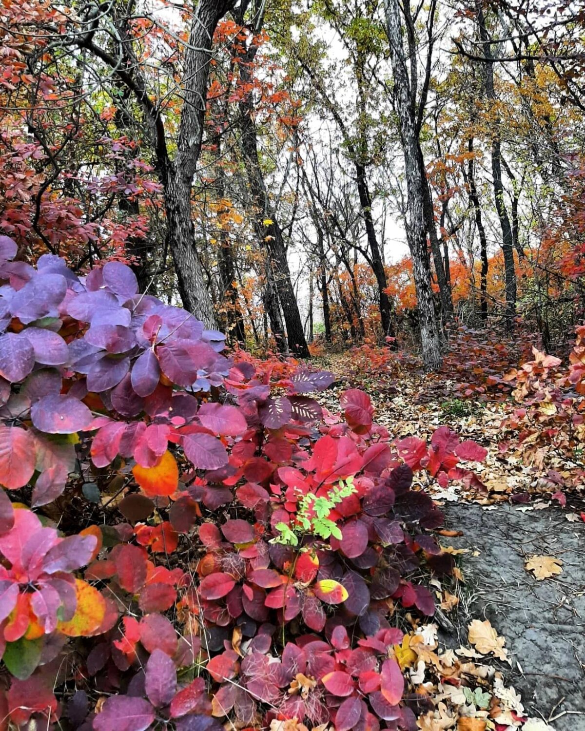 Photo #14085994