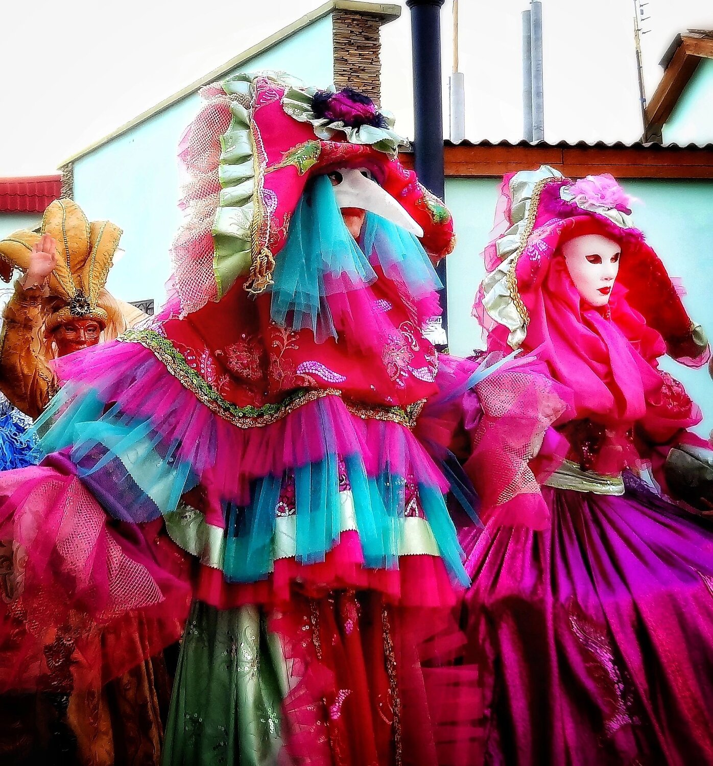 Photo #14086031