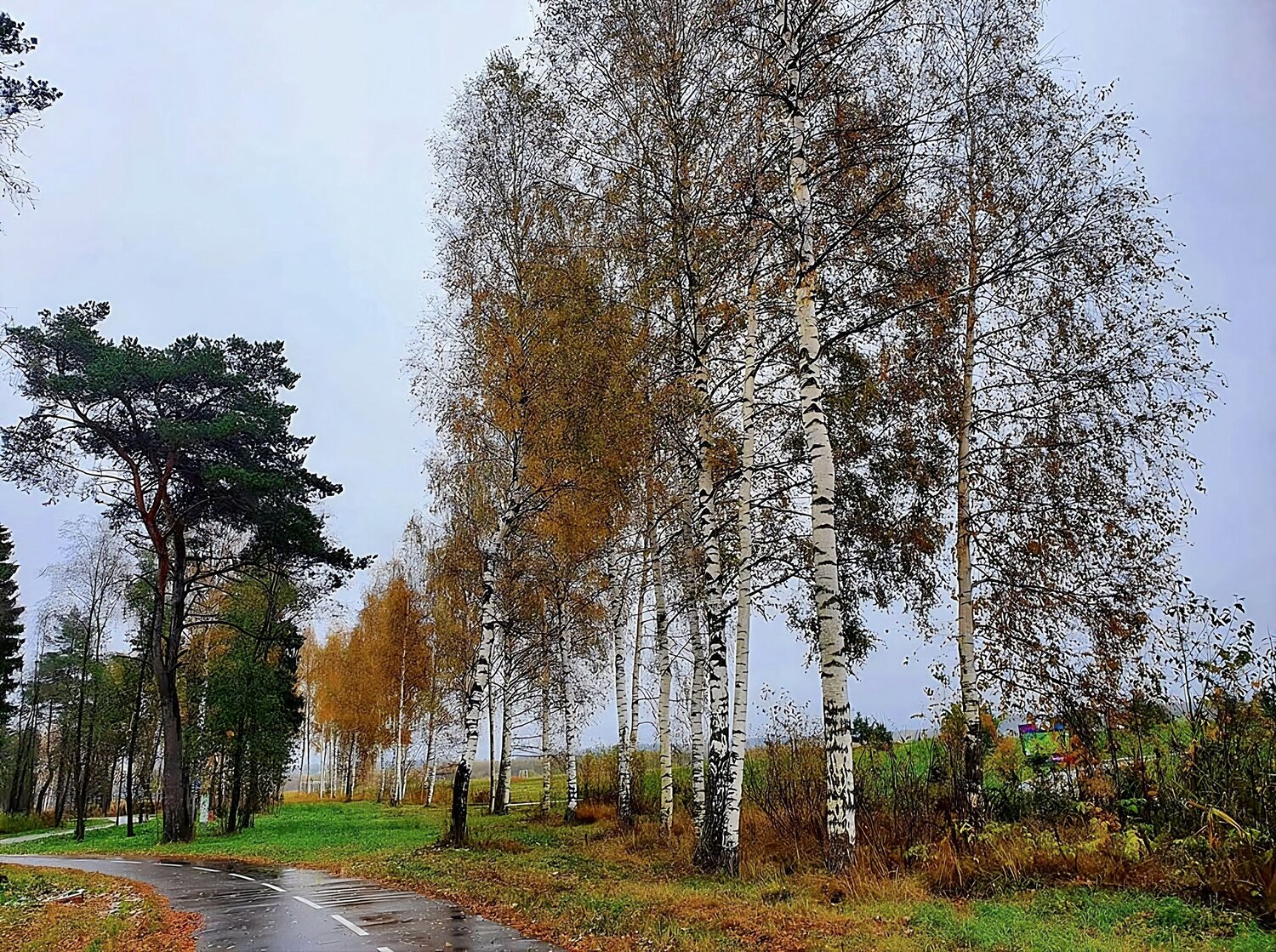 Photo #14086044