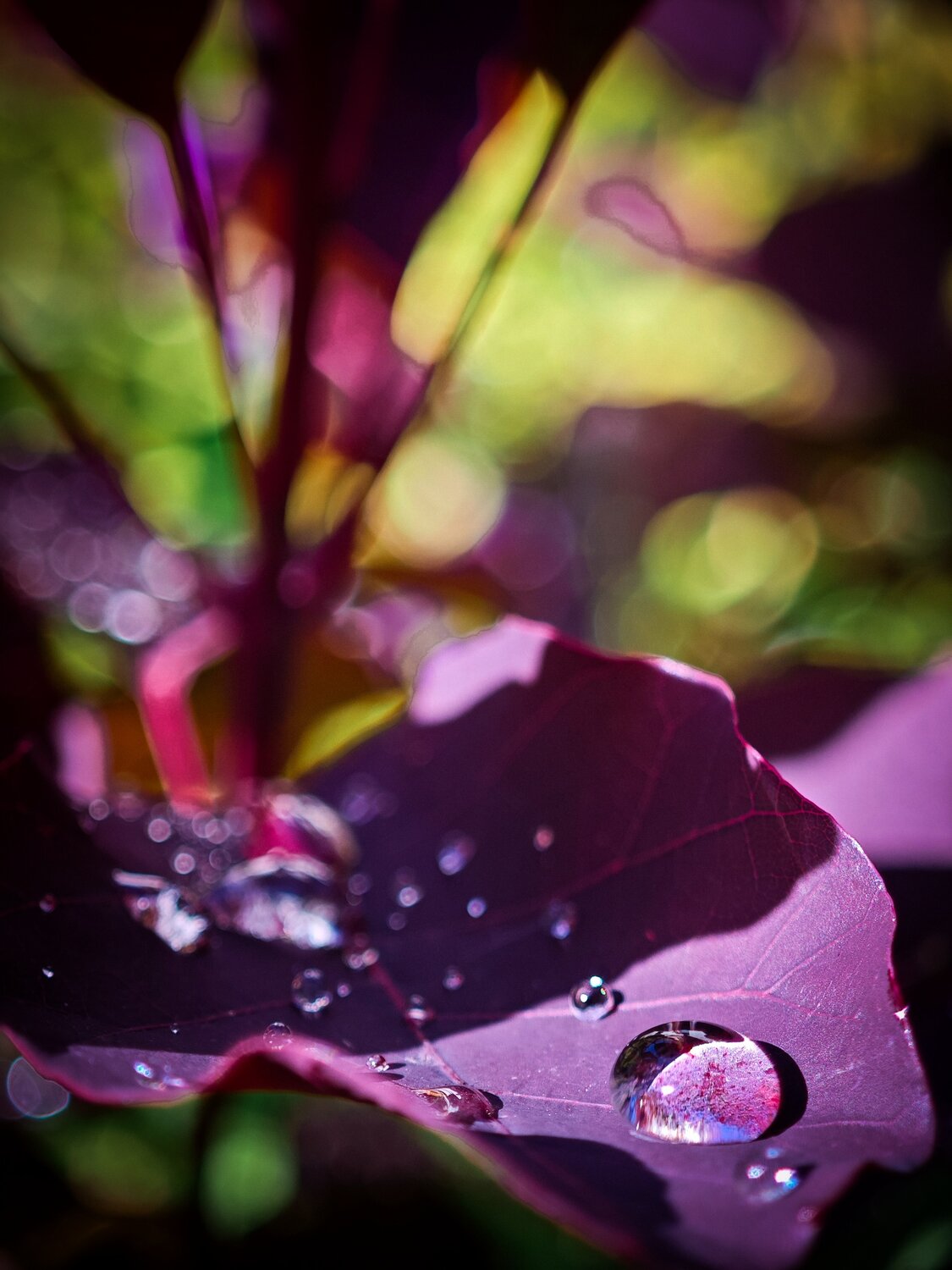 Photo #14086054