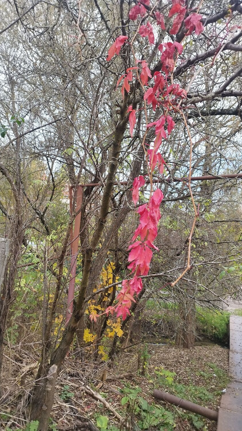 Photo #14086059