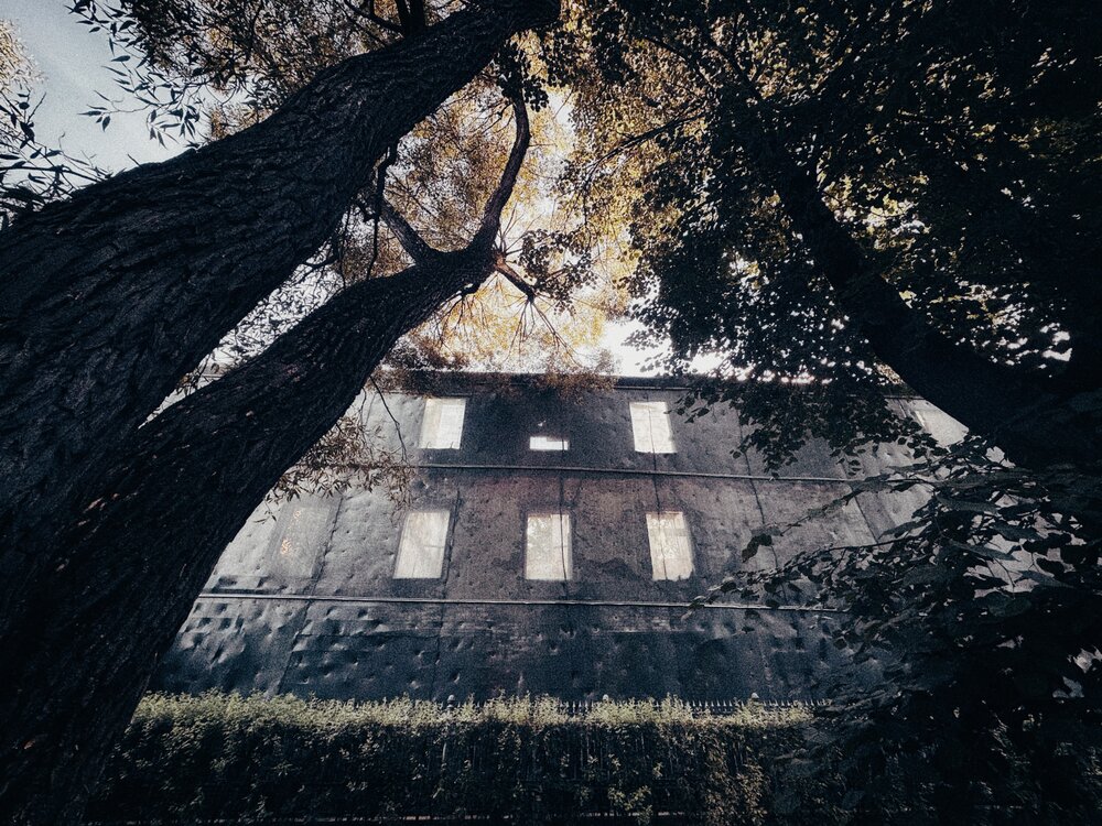 Photograph by NATASHA IO