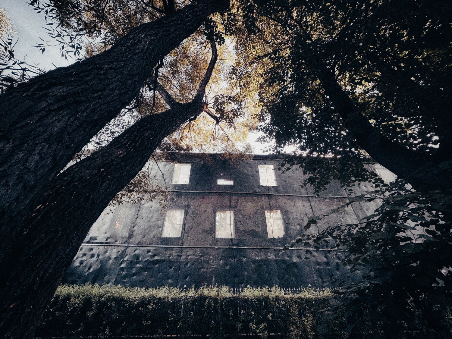 Photo #14086086