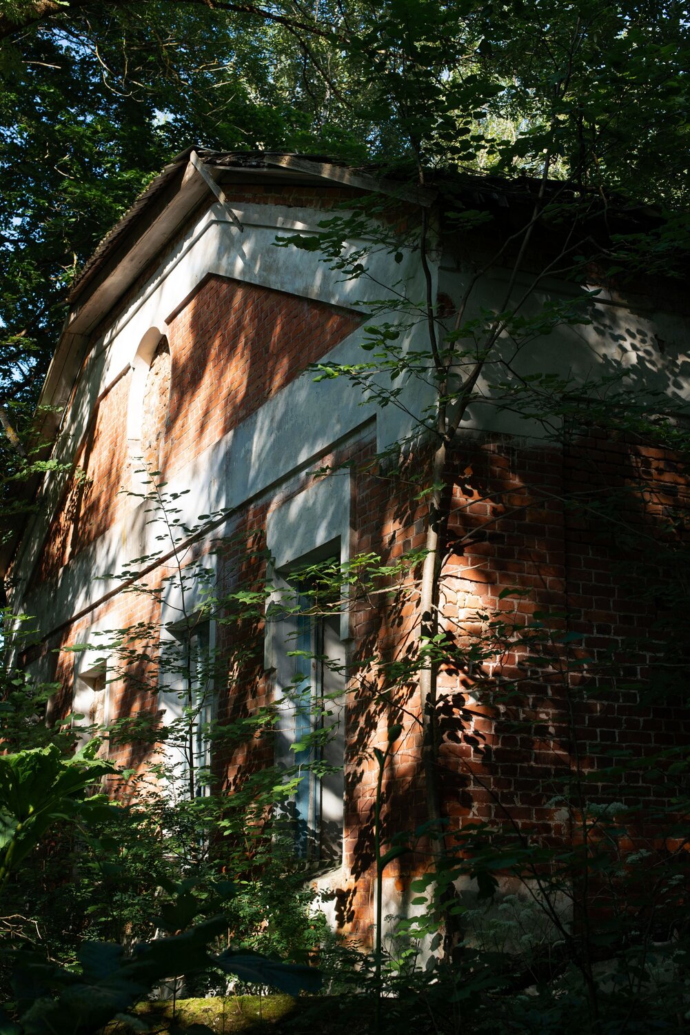 Photo #14086093