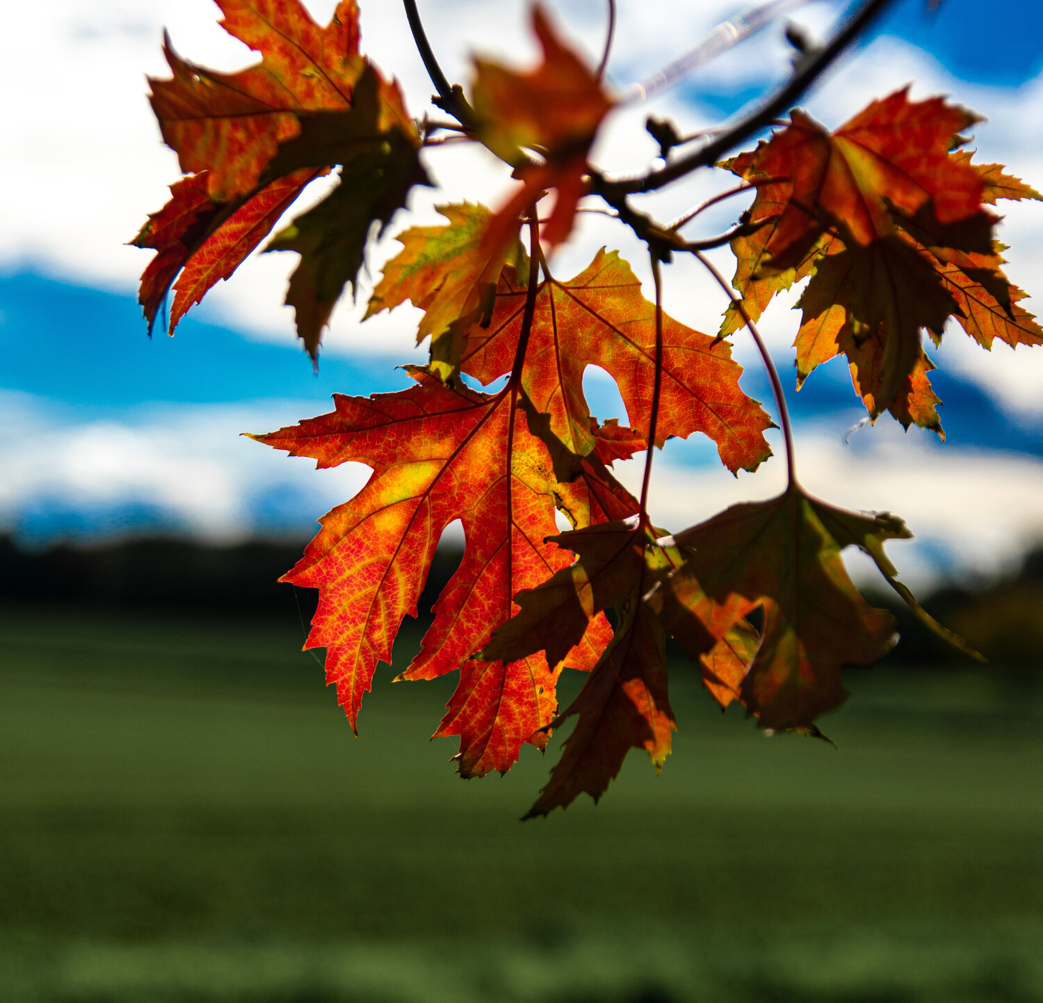 Photo #14086132