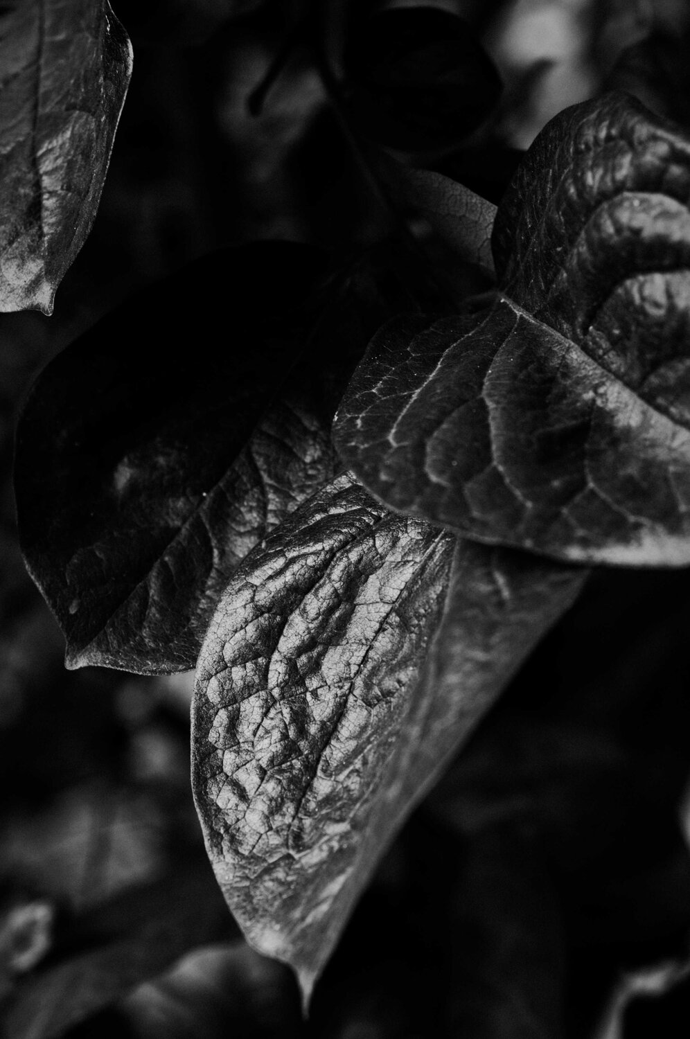Photo #14086158