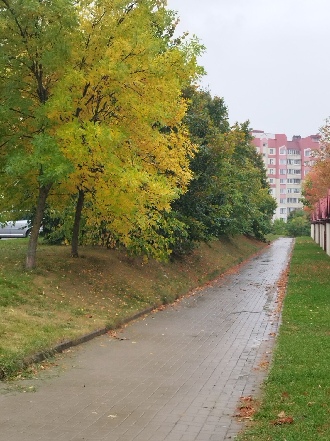 Photo #14086160