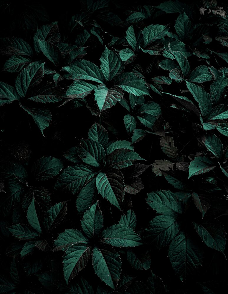 Photograph by Сергей Пыдык