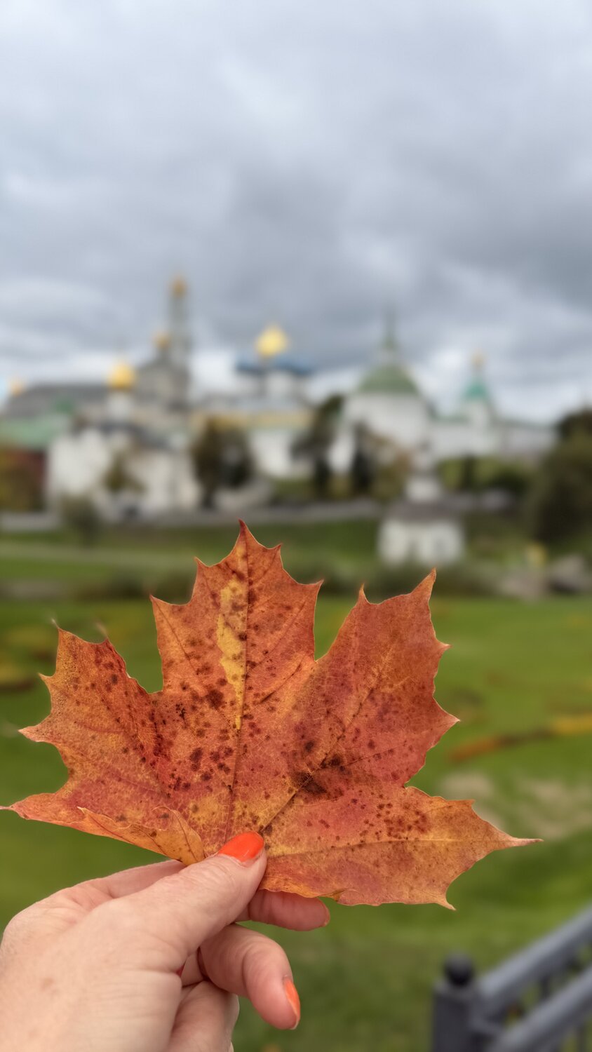 Фотография #14086220