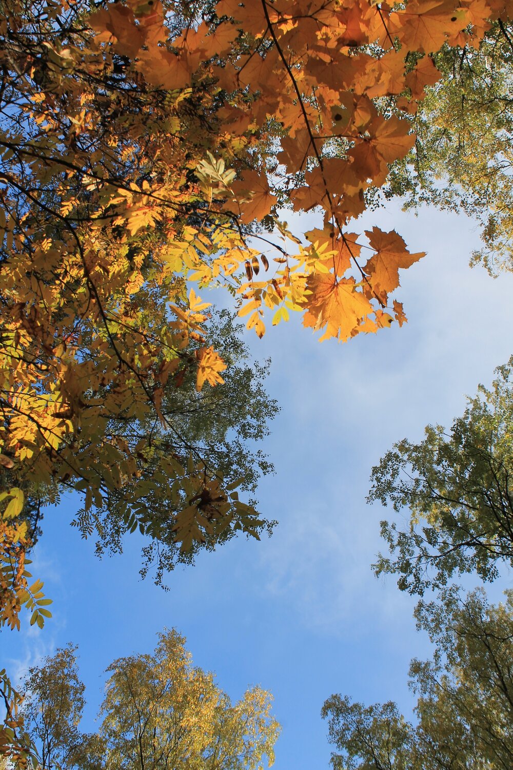 Photo #14086277