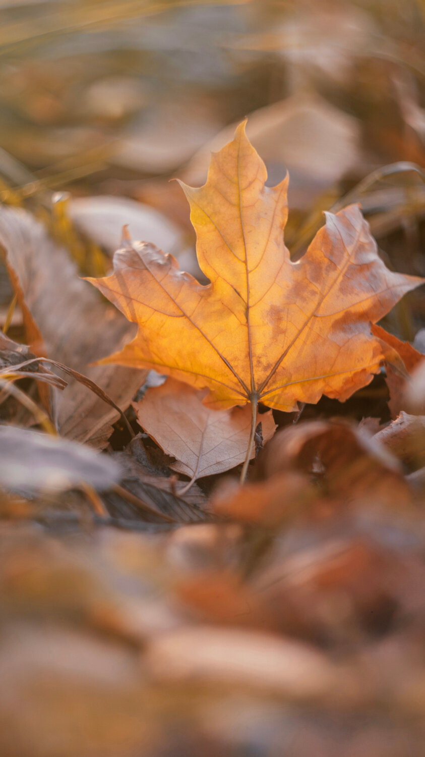 Photo #14086350