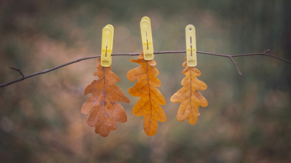Photograph by Denis Romanov
