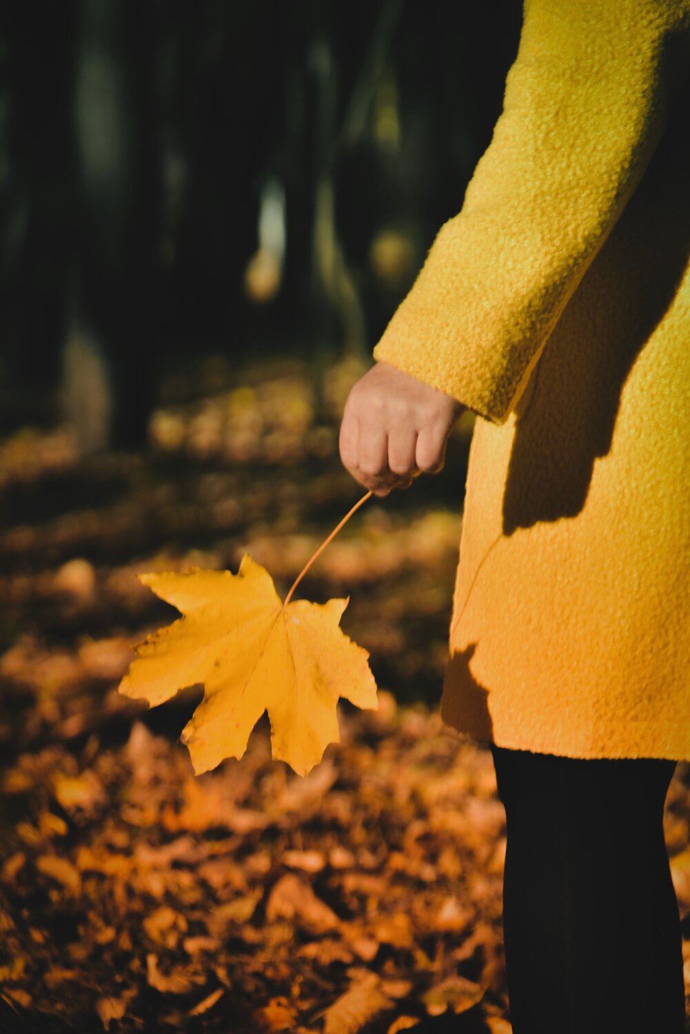 Photo #14086374