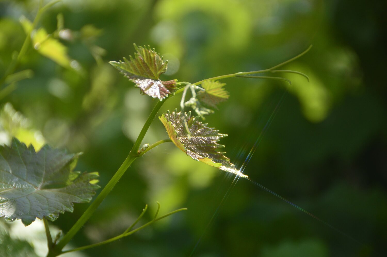 Photo #14086378