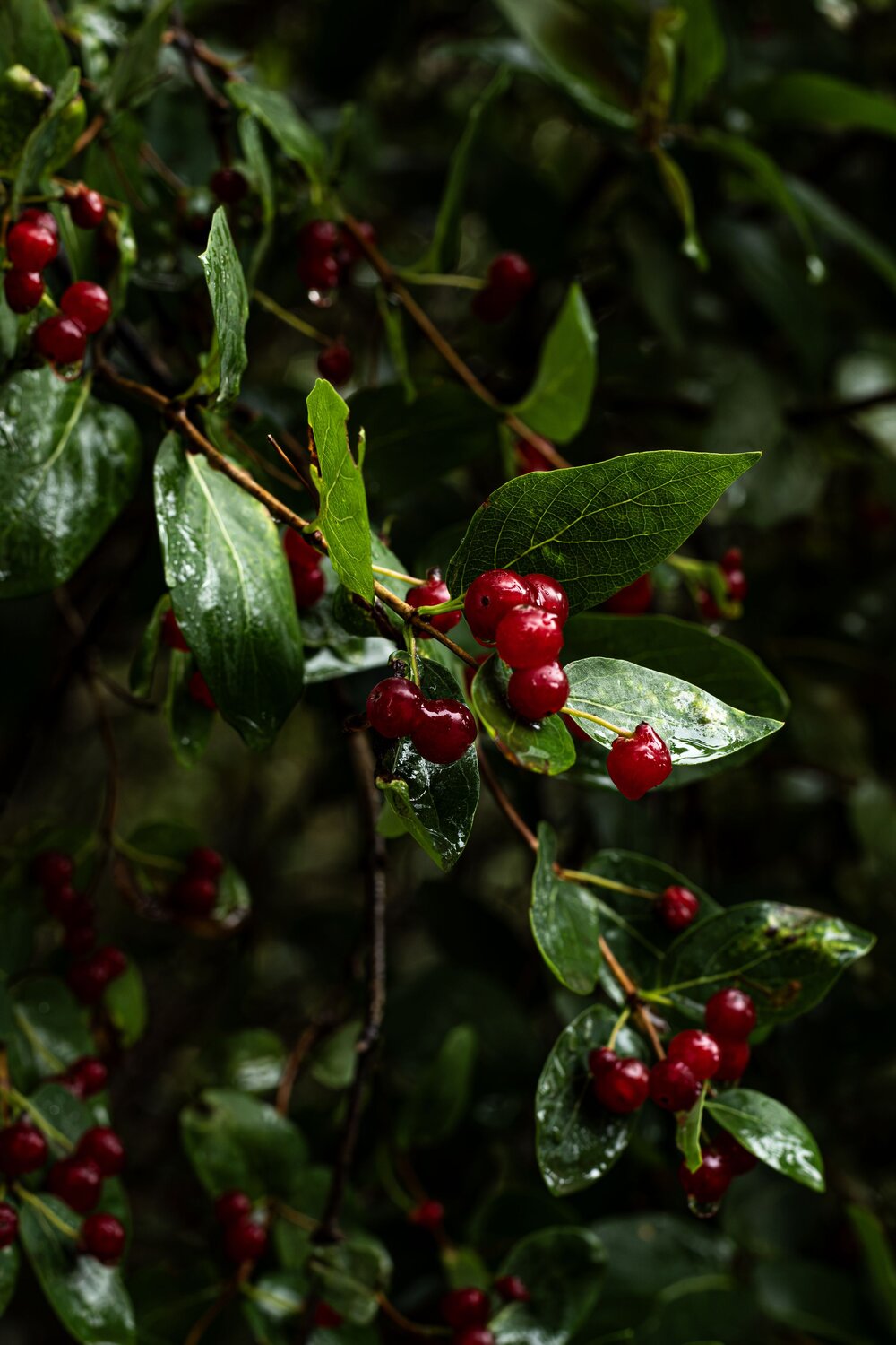 Photo #14086413
