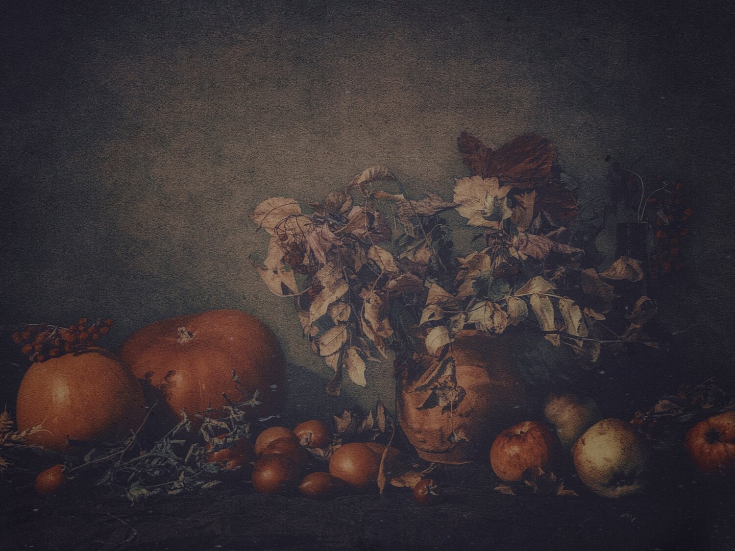 Photo #14086535