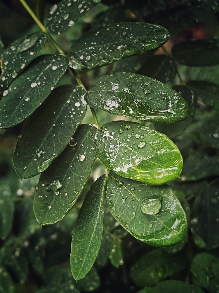 Photograph by Евгения Никишина