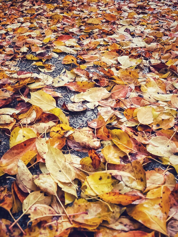 Photograph by Евгения Никишина