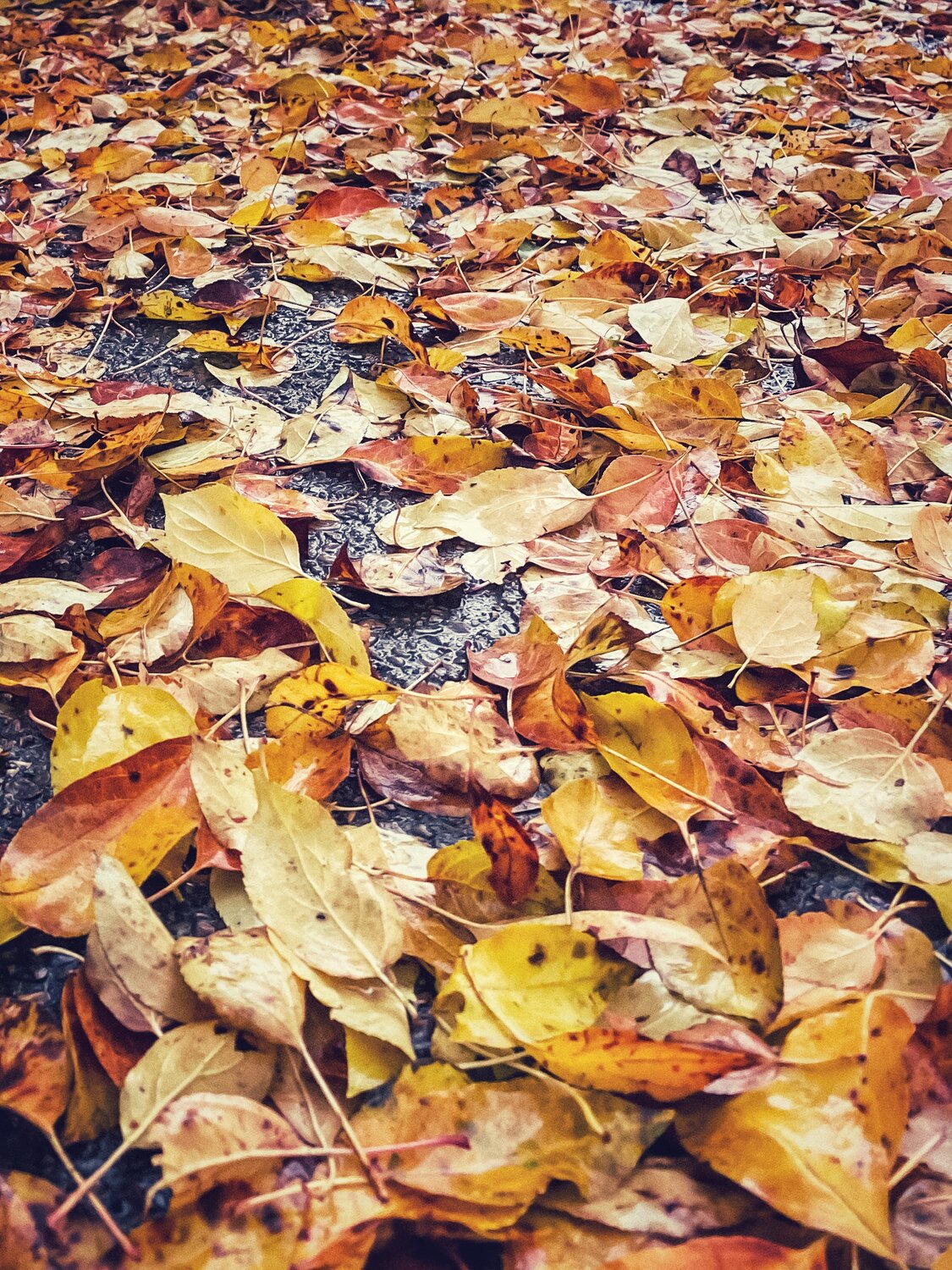 Photo #14086546