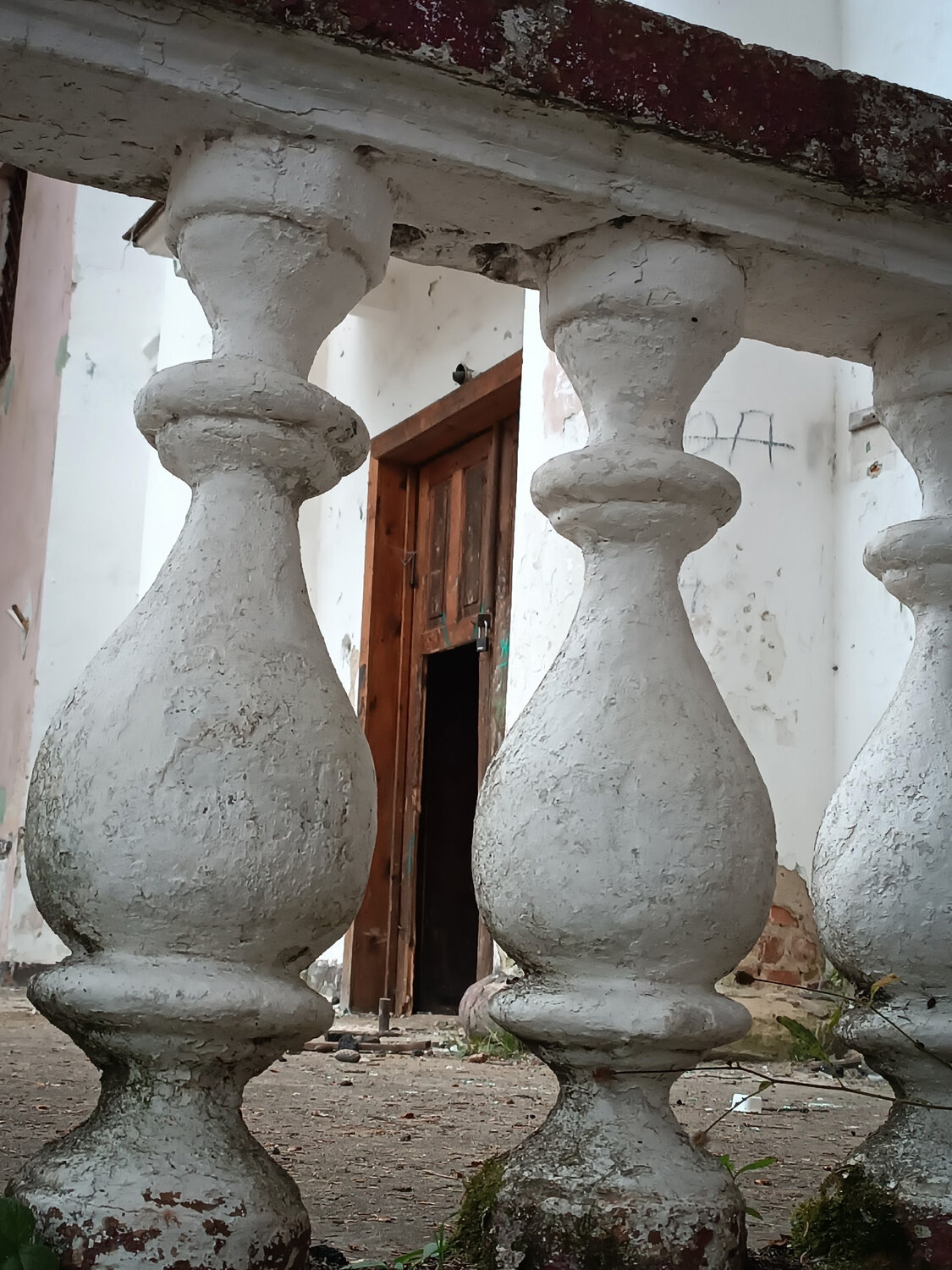 Photo #14086577