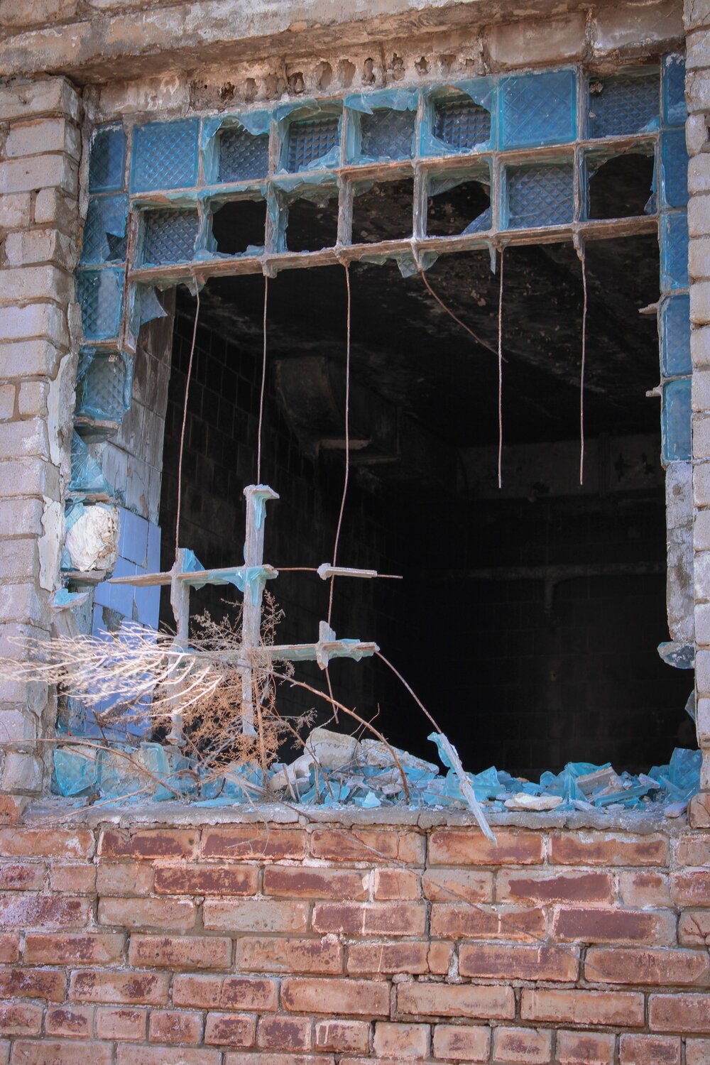 Photo #14086579