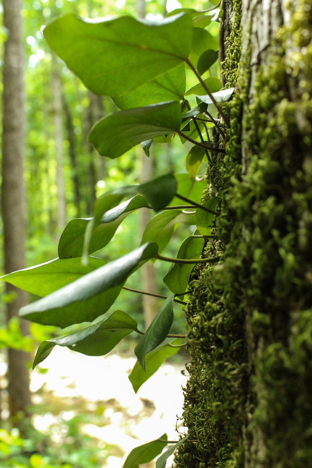Photo #14086585
