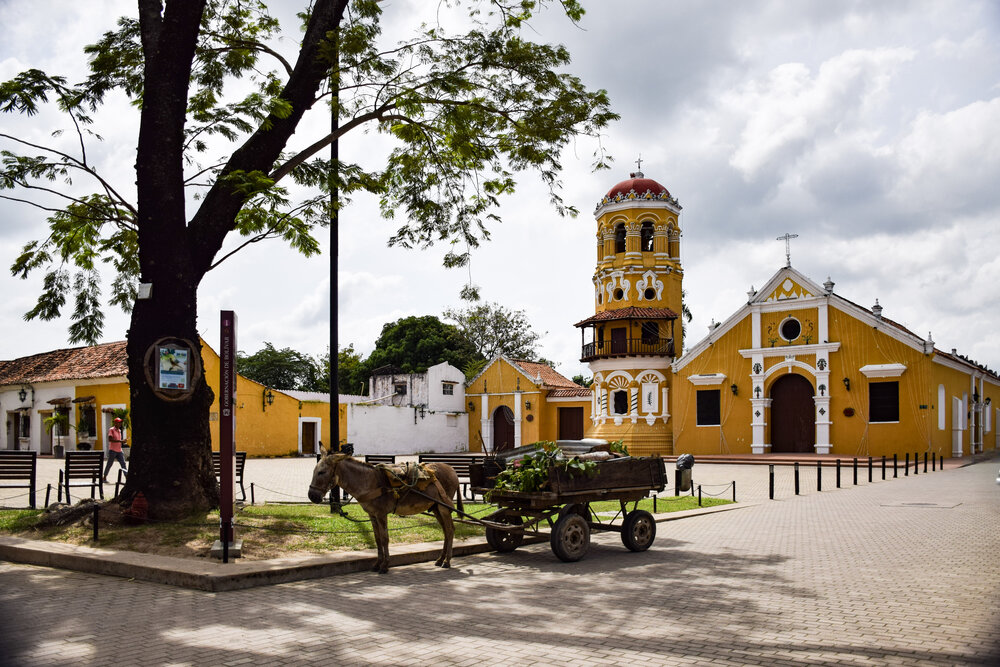 Burro parqueado a la sombra