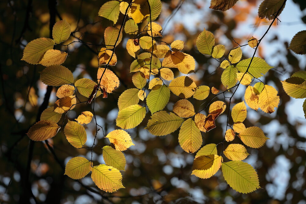 Photograph by Александр Еремин