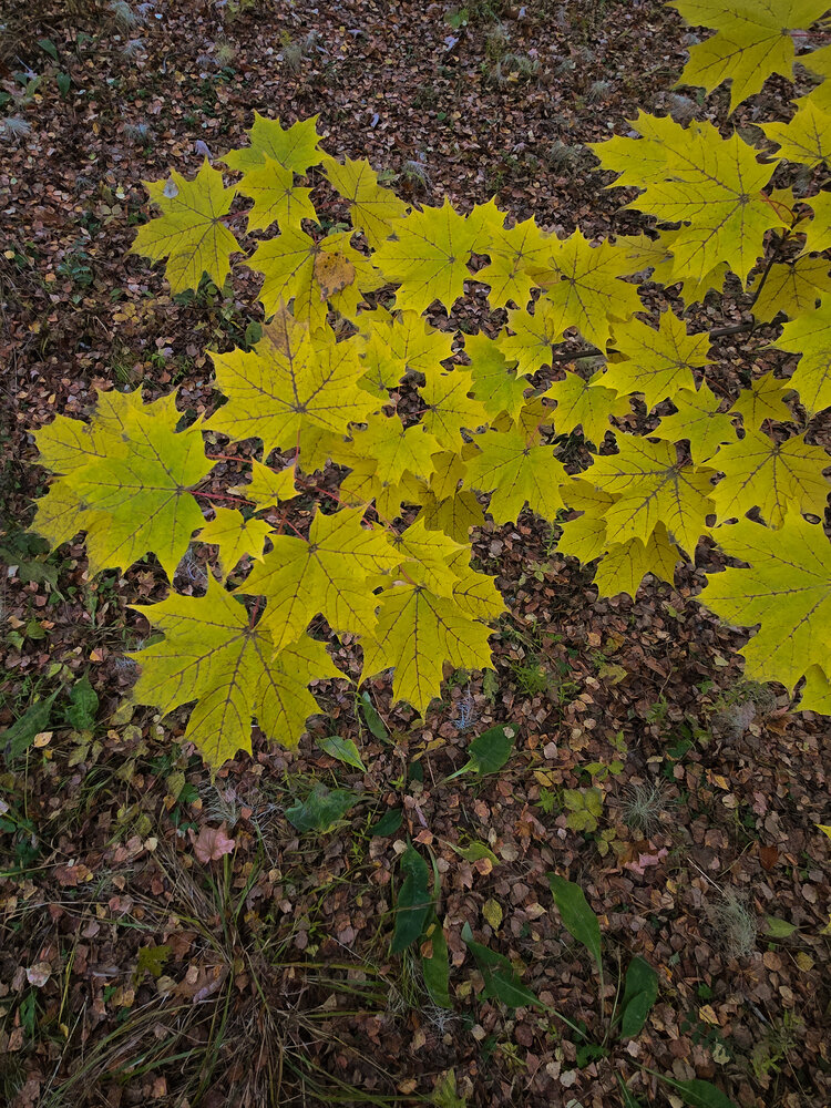 Photograph by Ольга Дёмина