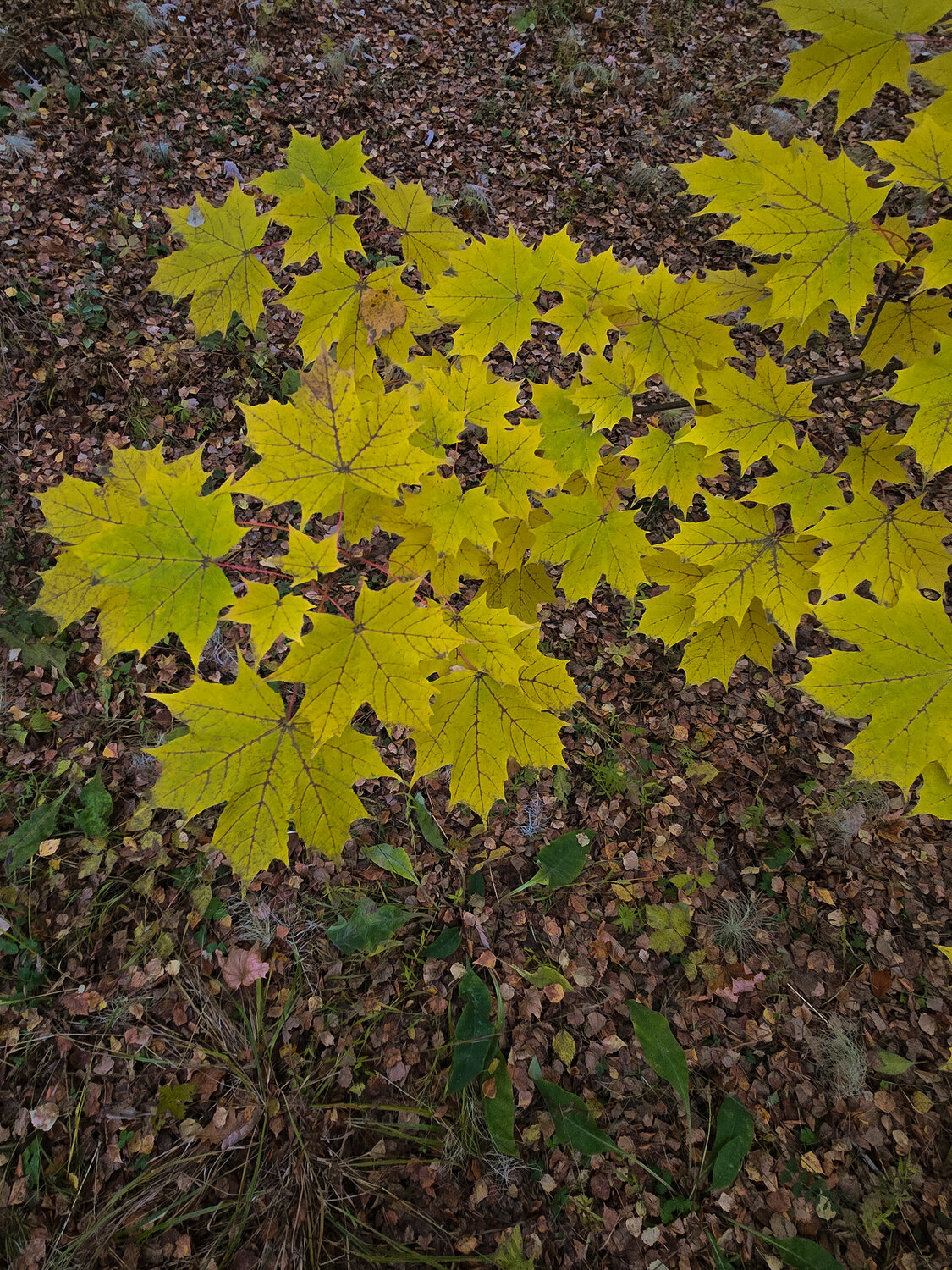 Photo #14086808